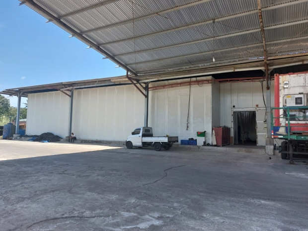 rumah tanah pabrik dijual Pabrik pengolahan ikan, cold storage dan dermaga rumah tanah pabrik dijual Pabrik pengolahan ikan, cold storage dan dermaga