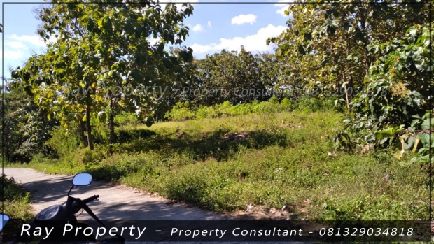 rumah tanah pabrik dijual