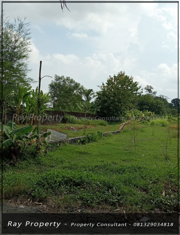 rumah tanah pabrik dijual